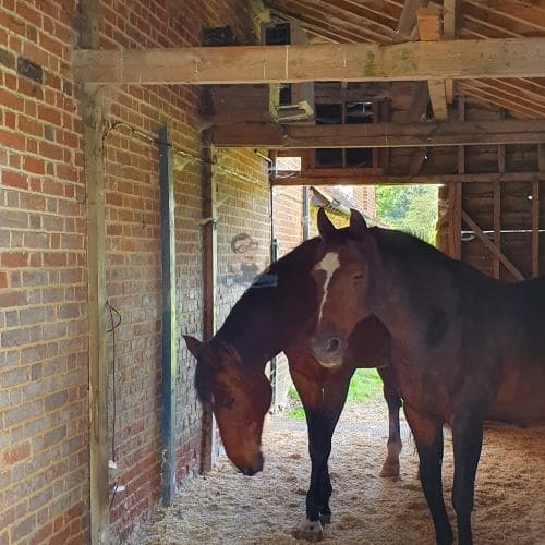 Wifi For Horse Stables